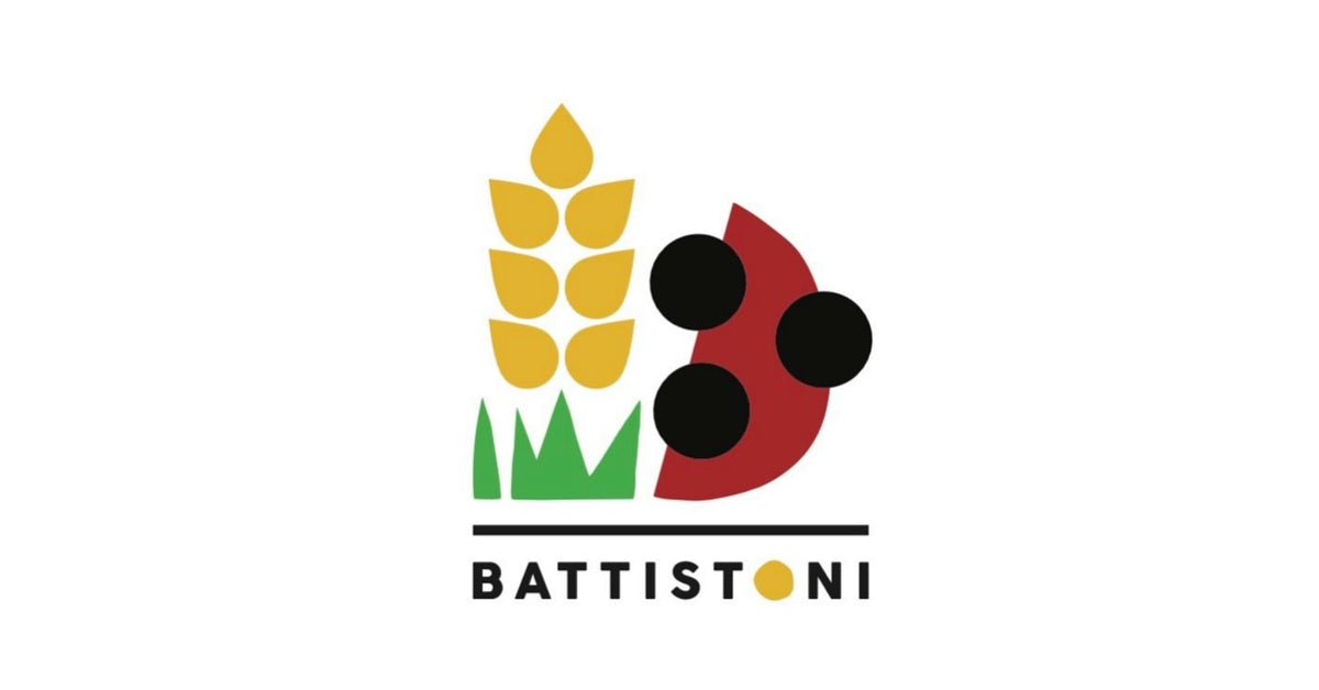 SOCIETA' AGRICOLA AGRITURISMO BATTISTONI S.S. — foto 3
